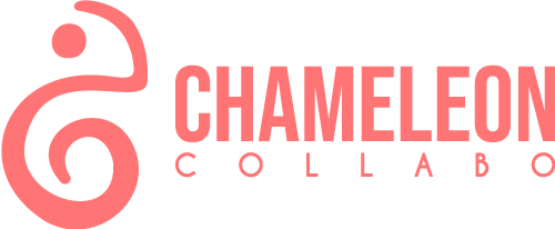 chameleon shopify stores websites marketing logo chamaleon medellin colombia antioquia
